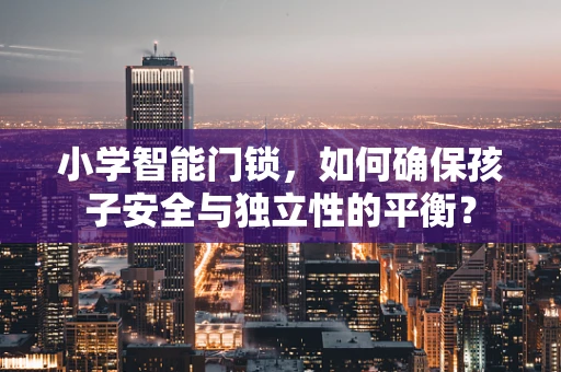 小学智能门锁，如何确保孩子安全与独立性的平衡？