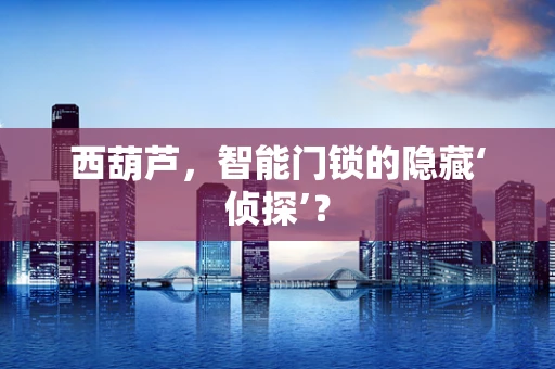 西葫芦，智能门锁的隐藏‘侦探’？