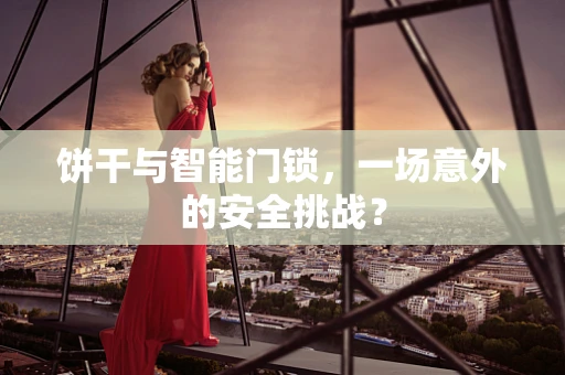 饼干与智能门锁，一场意外的安全挑战？