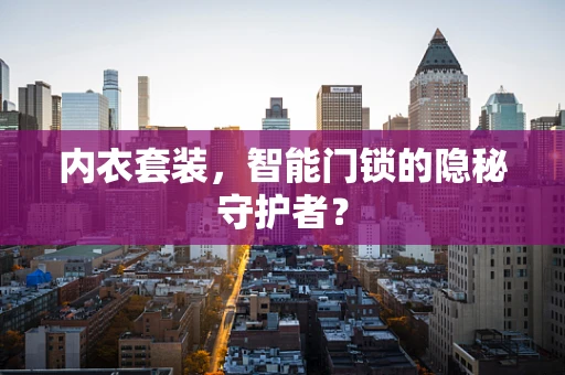 内衣套装，智能门锁的隐秘守护者？