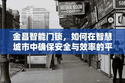 金昌智能门锁，如何在智慧城市中确保安全与效率的平衡？