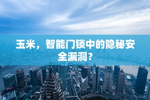 玉米，智能门锁中的隐秘安全漏洞？