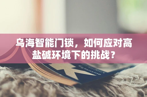 乌海智能门锁，如何应对高盐碱环境下的挑战？