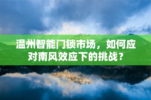 温州智能门锁市场，如何应对南风效应下的挑战？