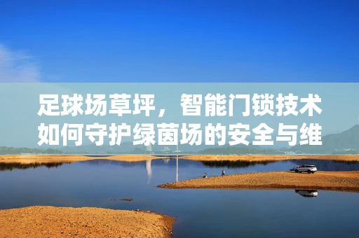 足球场草坪，智能门锁技术如何守护绿茵场的安全与维护？