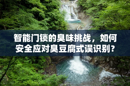 智能门锁的臭味挑战，如何安全应对臭豆腐式误识别？