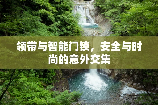 领带与智能门锁，安全与时尚的意外交集