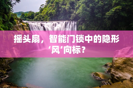 摇头扇，智能门锁中的隐形‘风’向标？