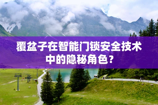 覆盆子在智能门锁安全技术中的隐秘角色？