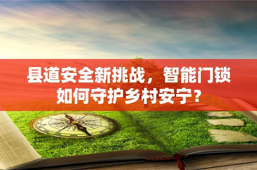 县道安全新挑战，智能门锁如何守护乡村安宁？