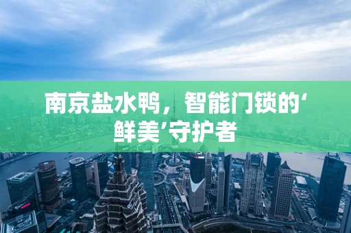 南京盐水鸭，智能门锁的‘鲜美’守护者