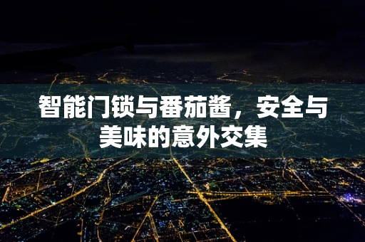 智能门锁与番茄酱，安全与美味的意外交集