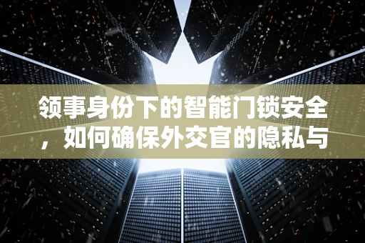 领事身份下的智能门锁安全，如何确保外交官的隐私与安全？