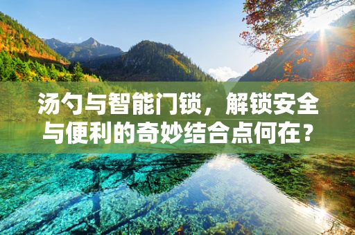 汤勺与智能门锁，解锁安全与便利的奇妙结合点何在？