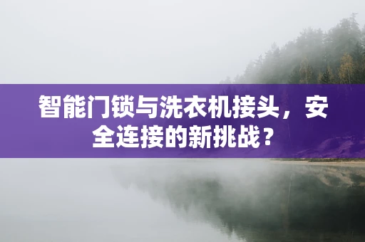 智能门锁与洗衣机接头，安全连接的新挑战？