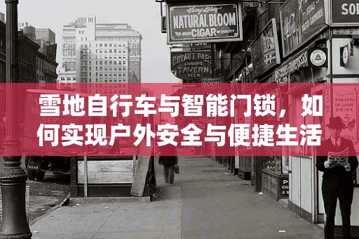 雪地自行车与智能门锁，如何实现户外安全与便捷生活的完美融合？