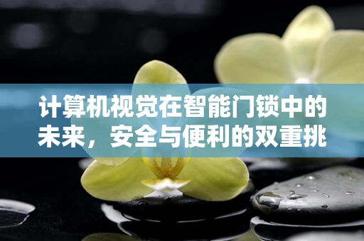 计算机视觉在智能门锁中的未来，安全与便利的双重挑战？