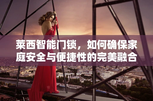 莱西智能门锁，如何确保家庭安全与便捷性的完美融合？