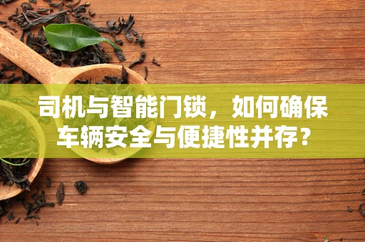 司机与智能门锁，如何确保车辆安全与便捷性并存？