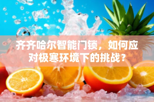齐齐哈尔智能门锁，如何应对极寒环境下的挑战？