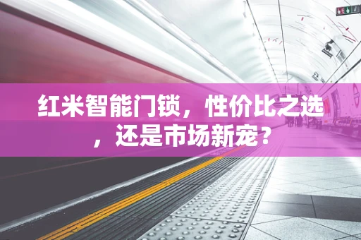 红米智能门锁，性价比之选，还是市场新宠？