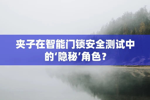 夹子在智能门锁安全测试中的‘隐秘’角色？
