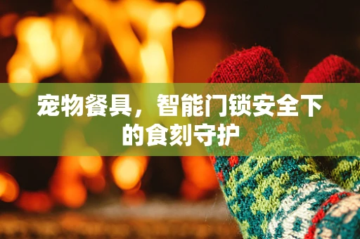 宠物餐具，智能门锁安全下的食刻守护