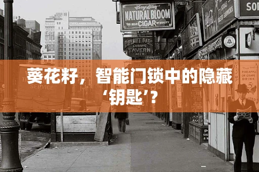 葵花籽，智能门锁中的隐藏‘钥匙’？