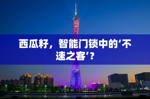 西瓜籽，智能门锁中的‘不速之客’？