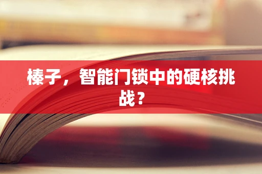 榛子，智能门锁中的硬核挑战？