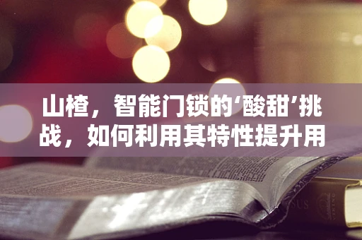 山楂，智能门锁的‘酸甜’挑战，如何利用其特性提升用户体验？