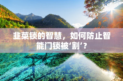 韭菜锁的智慧，如何防止智能门锁被‘割’？