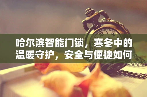 哈尔滨智能门锁，寒冬中的温暖守护，安全与便捷如何共舞？