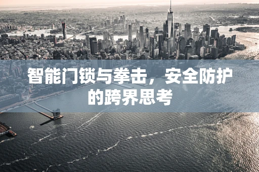 智能门锁与拳击，安全防护的跨界思考