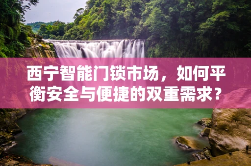 西宁智能门锁市场，如何平衡安全与便捷的双重需求？