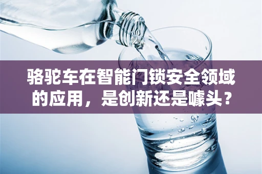骆驼车在智能门锁安全领域的应用，是创新还是噱头？