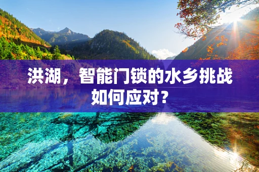 洪湖，智能门锁的水乡挑战如何应对？