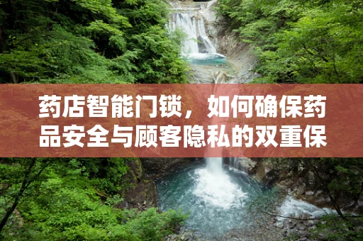 药店智能门锁，如何确保药品安全与顾客隐私的双重保障？
