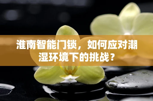 淮南智能门锁，如何应对潮湿环境下的挑战？