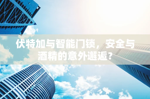 伏特加与智能门锁，安全与酒精的意外邂逅？