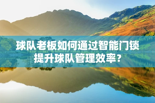 球队老板如何通过智能门锁提升球队管理效率？