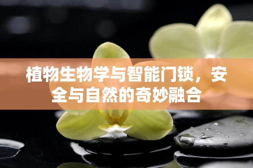 植物生物学与智能门锁，安全与自然的奇妙融合