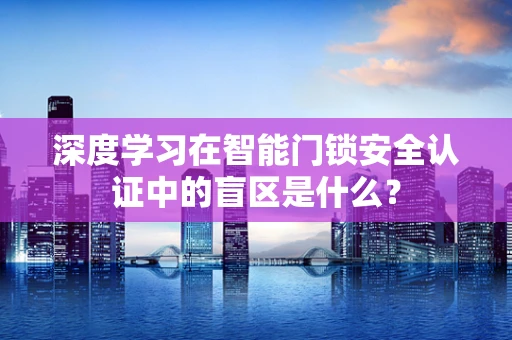 深度学习在智能门锁安全认证中的盲区是什么？