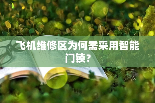 飞机维修区为何需采用智能门锁？