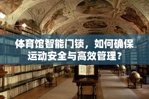 体育馆智能门锁，如何确保运动安全与高效管理？