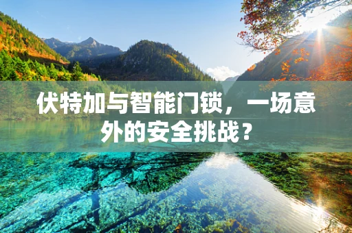 伏特加与智能门锁，一场意外的安全挑战？