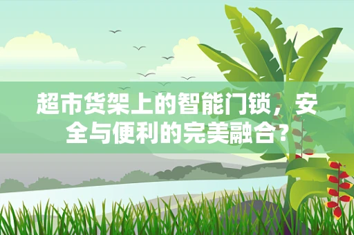 超市货架上的智能门锁，安全与便利的完美融合？