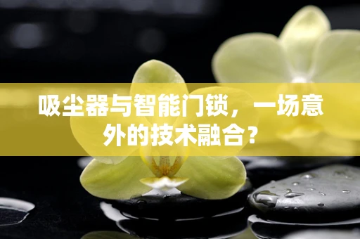 吸尘器与智能门锁，一场意外的技术融合？