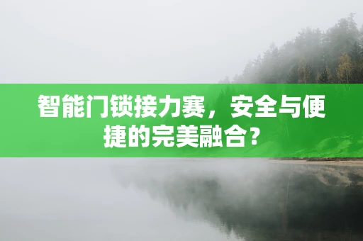 智能门锁接力赛，安全与便捷的完美融合？