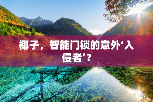 椰子，智能门锁的意外‘入侵者’？